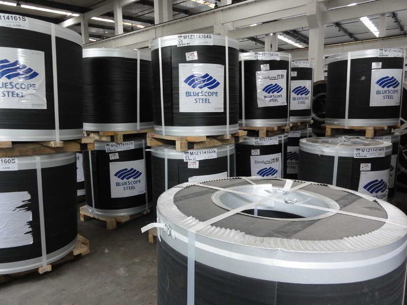 博思格彩涂卷 博思格彩涂卷